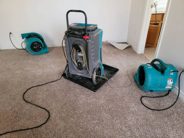 Best Professional water damage repair  in Claypool Hill, VA