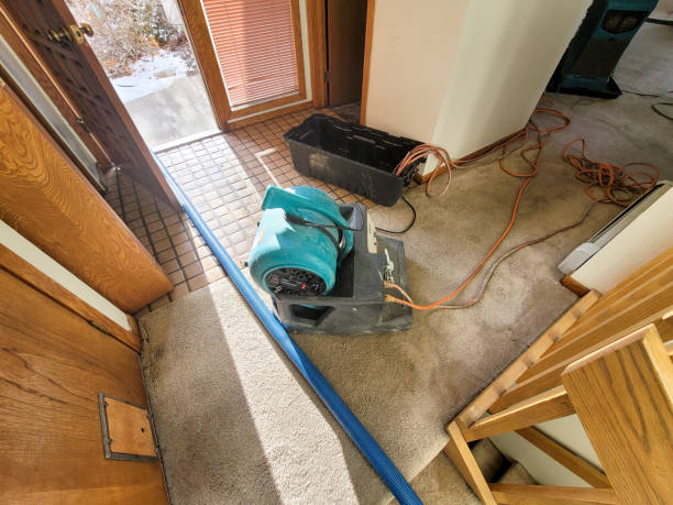 Local water damage restoration